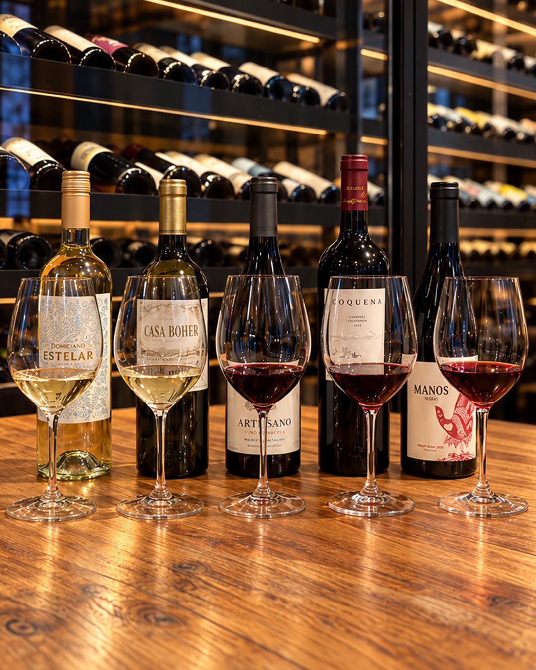Introducción a los vinos de Argentina
